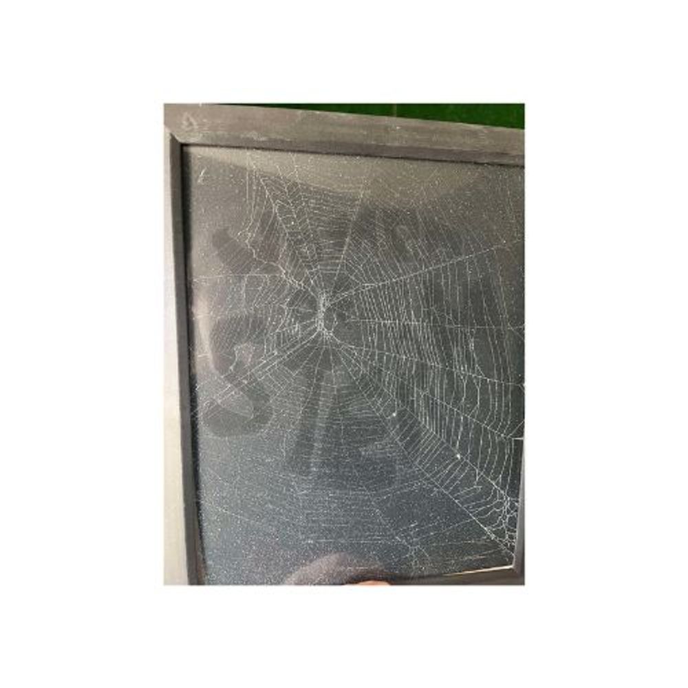 Spiderweb Art