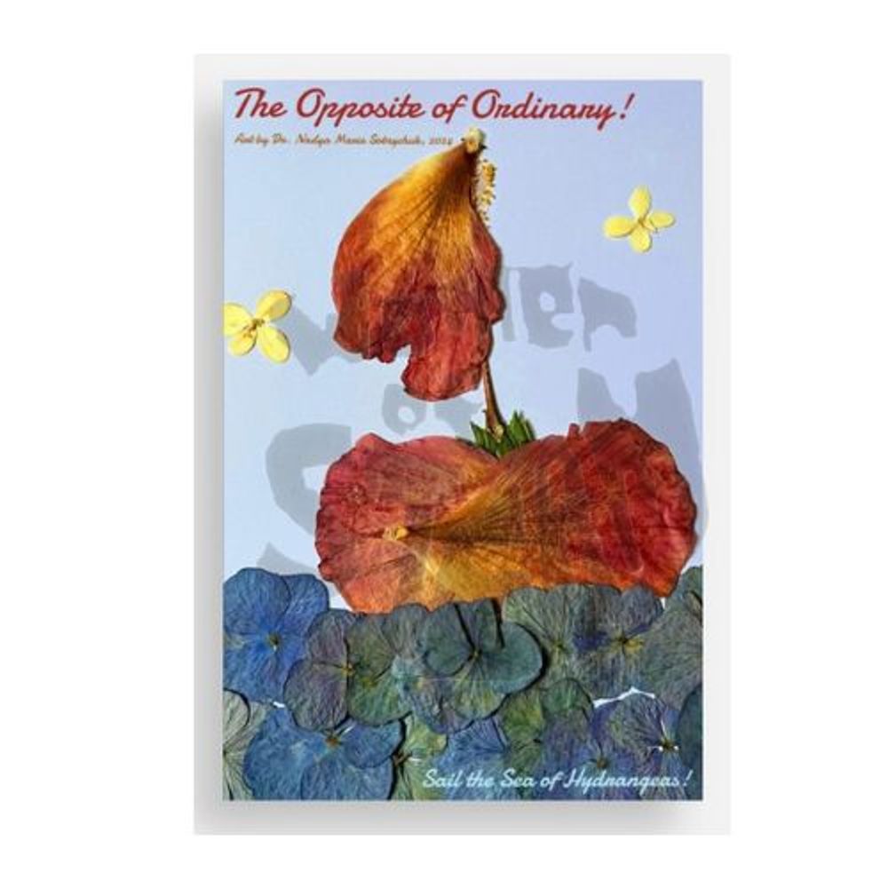 Sail the Sea Pressed Flower Art Print